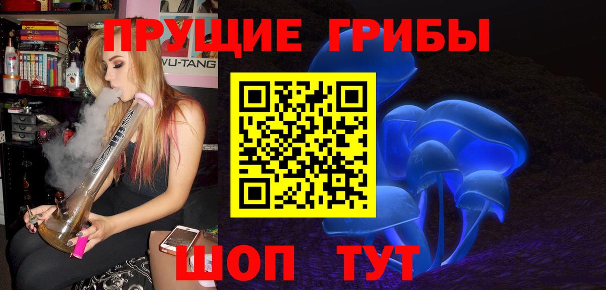 Псилоцибиновые грибы Psilocybe  Псилоцибиновые грибы прущие грибы  Арсеньев  Вход с VPN 